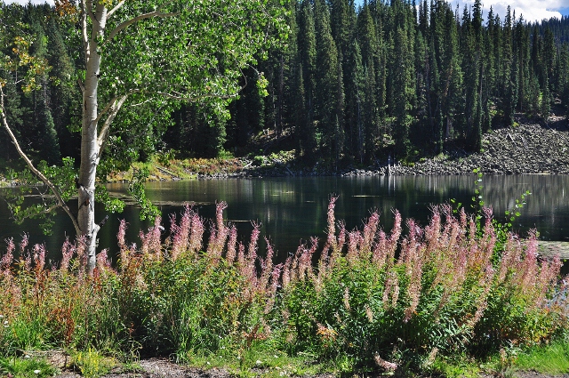 at Mesa Lake Resort on Highway 65